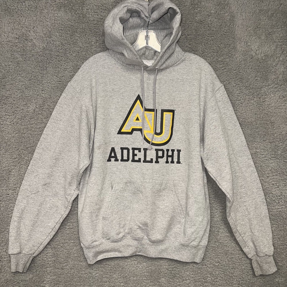Champion Sweater Men's M Gray Aldelphi Panthers Logo Pullover Hoodie Sweatshirt